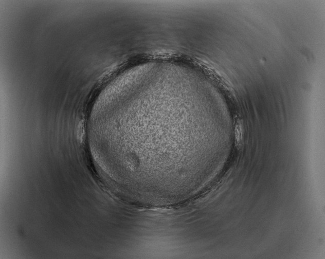 X0000116791204200912311910