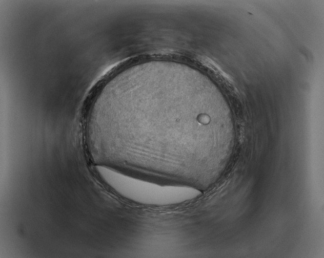 X0000116791208200912311910