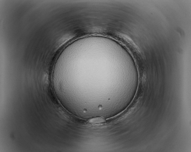 X0000116791209200912311910