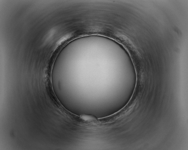 X0000116791210200912311910