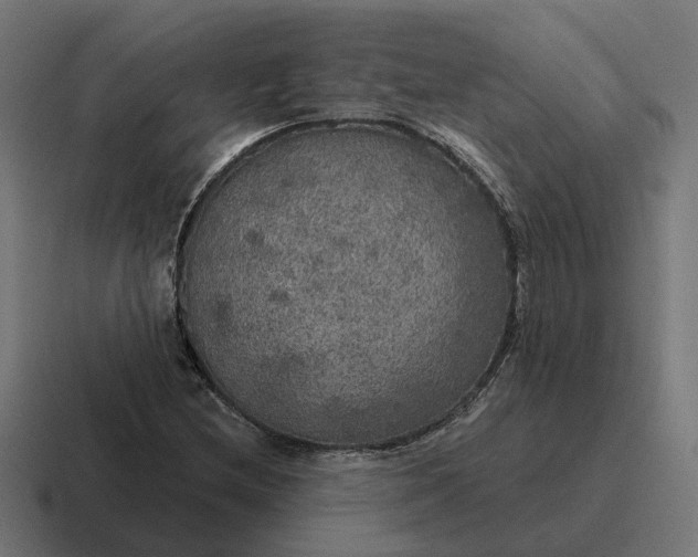 X0000116791212200912311910