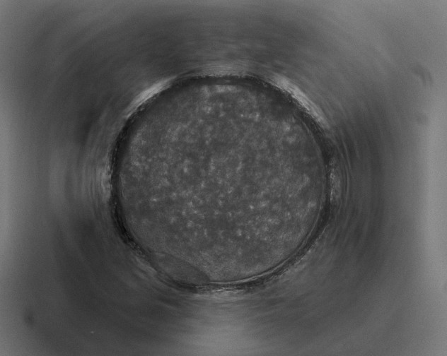 X0000116791213200912311910