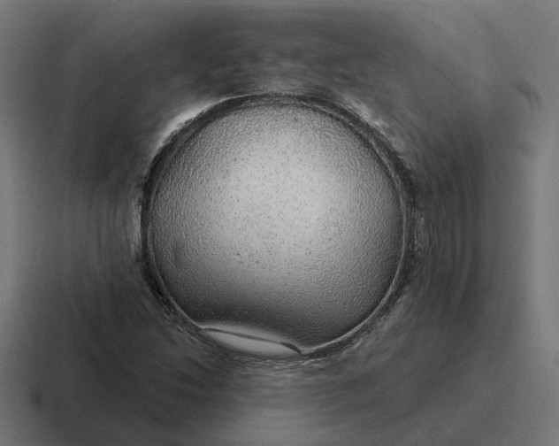 X0000116791214200912311910