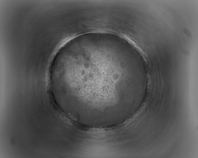 X0000116791215200912311910