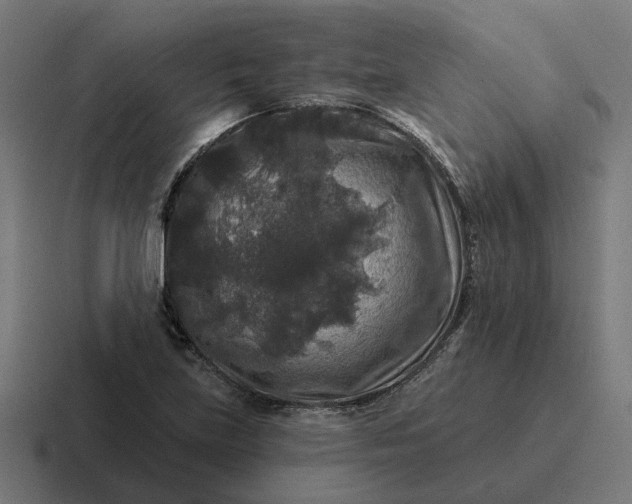 X0000116791219200912311910