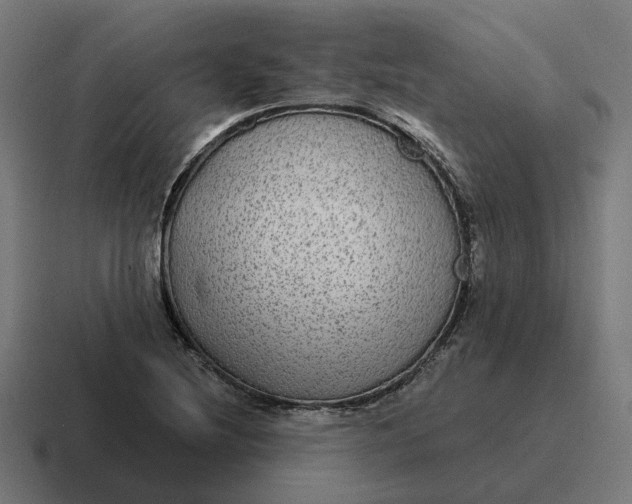 X0000116791220200912311910