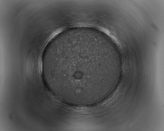 X0000116791221200912311910