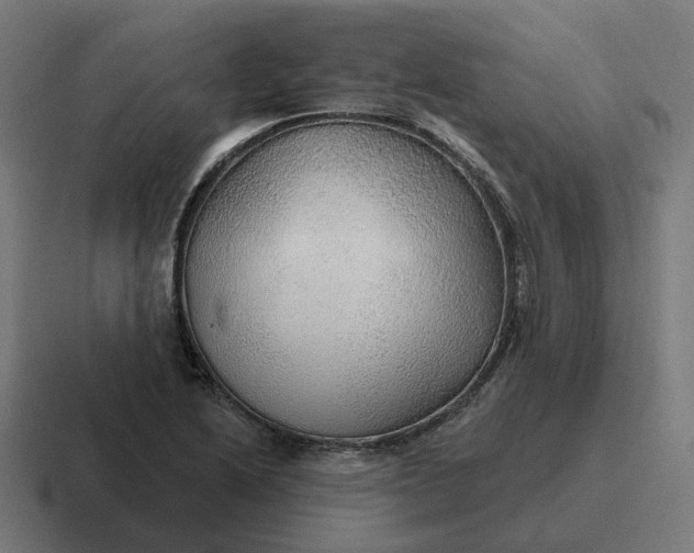 X0000116791222200912311910