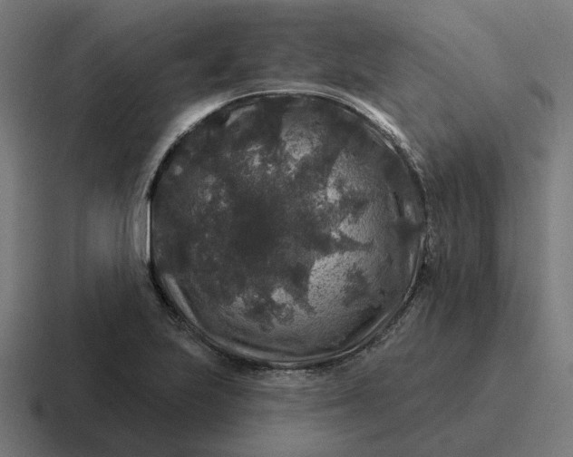 X0000116791223200912311910