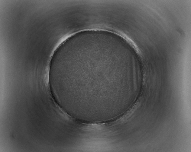 X0000116791224200912311910