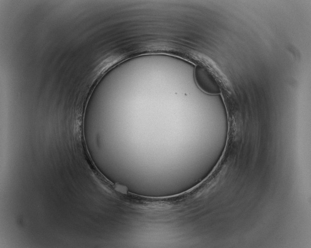 X0000116791225200912311910