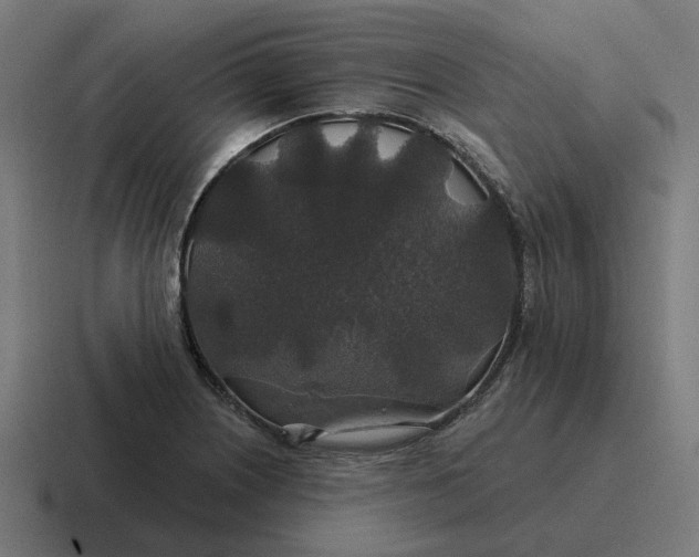 X0000116791226200912311910