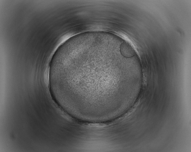 X0000116791227200912311910