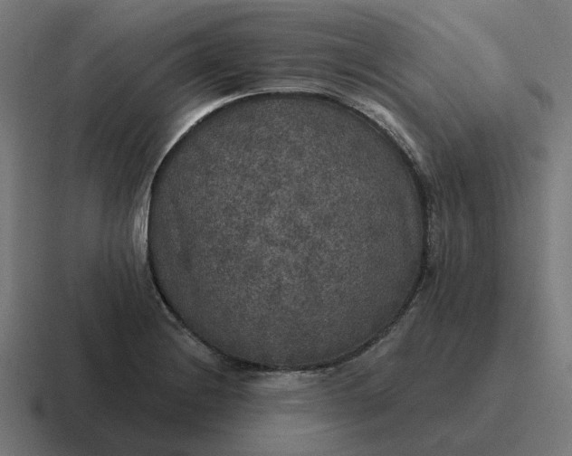 X0000116791228200912311910