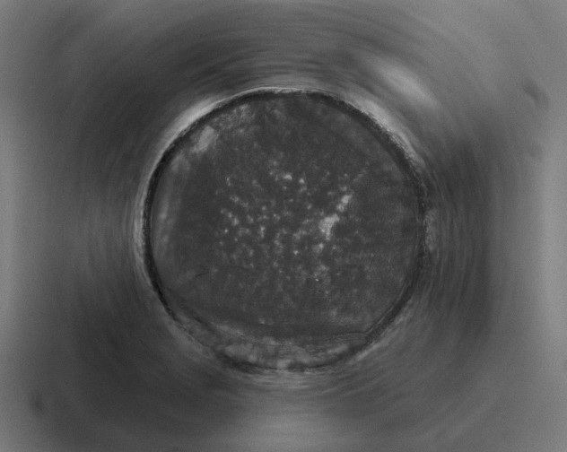 X0000116791229200912311910