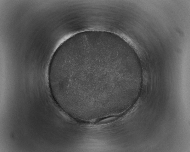 X0000116791230200912311910