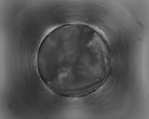 X0000116791231200912311910