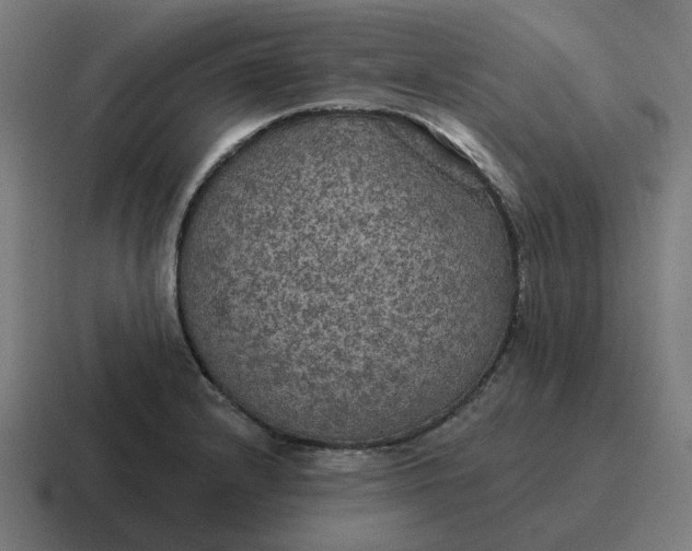 X0000116791232200912311910