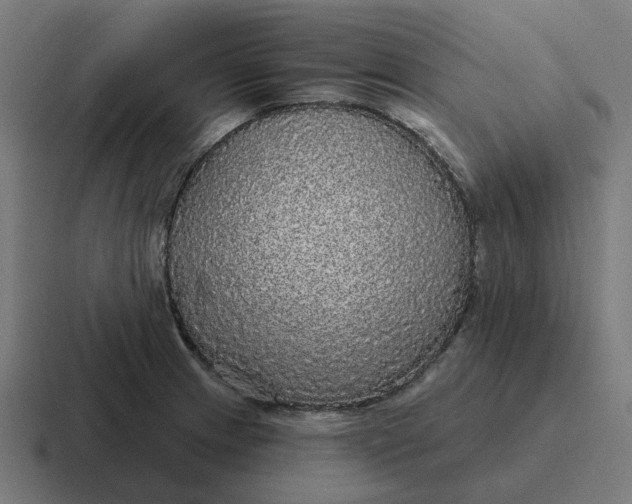 X0000116791233200912311910