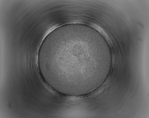 X0000116791234200912311910