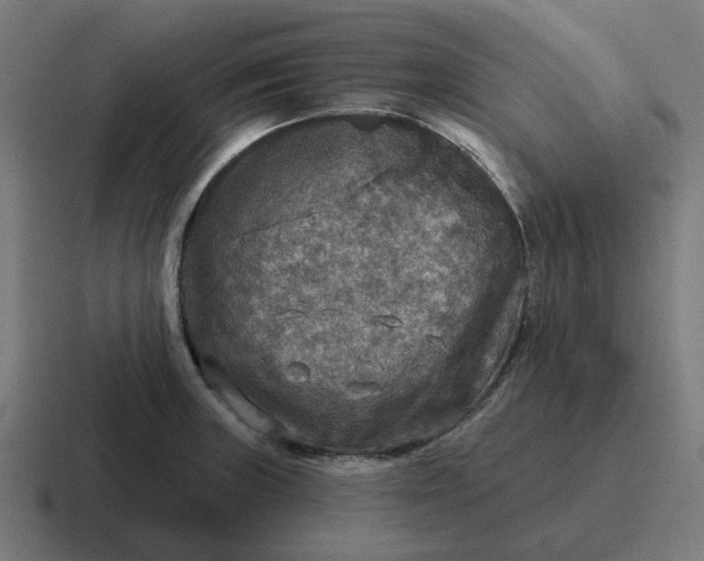 X0000116791235200912311910