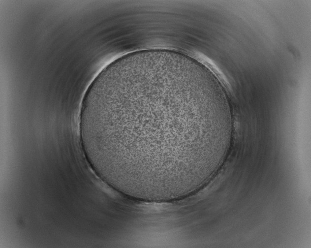 X0000116791236200912311910