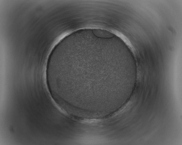 X0000116791237200912311910