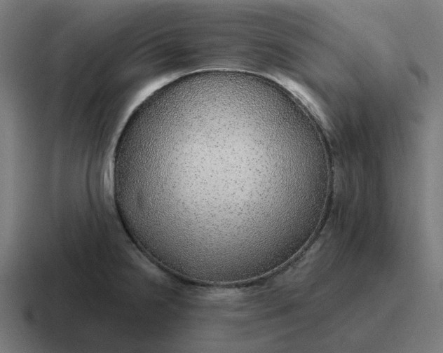 X0000116791238200912311910