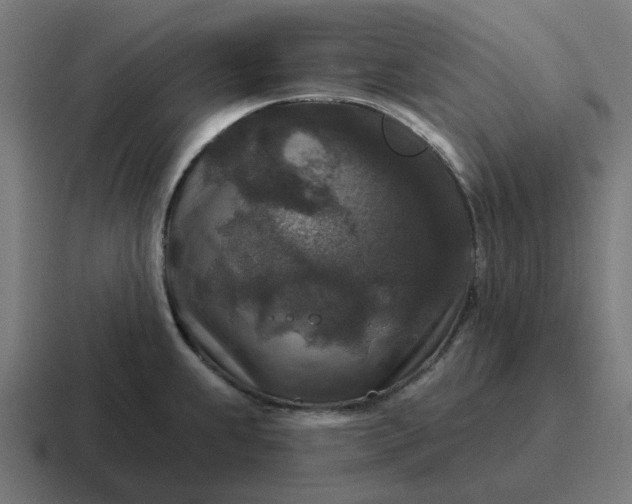 X0000116791239200912311910