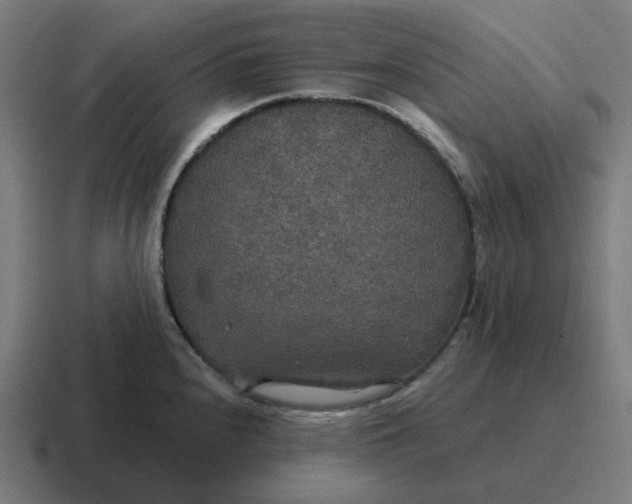 X0000116791240200912311910