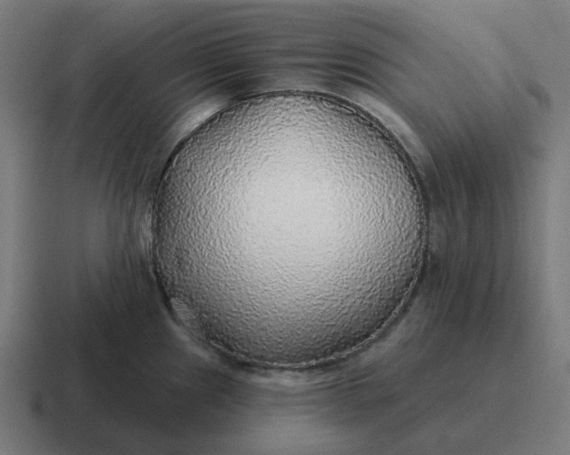 X0000116791241200912311910