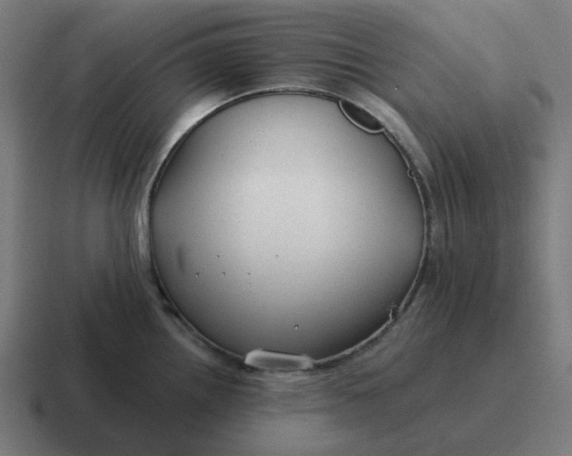 X0000116791242200912311910