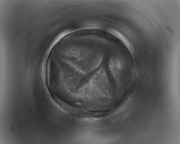 X0000116791243200912311910