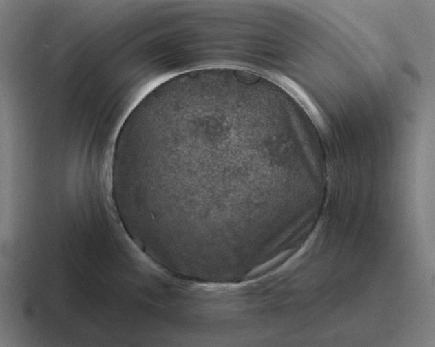 X0000116791244200912311911