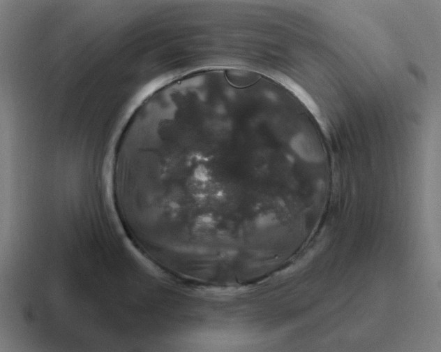 X0000116791245200912311911