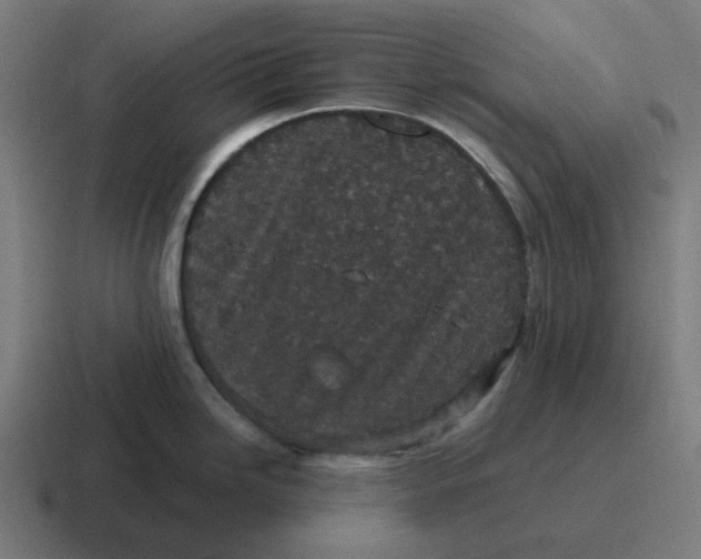 X0000116791246200912311911