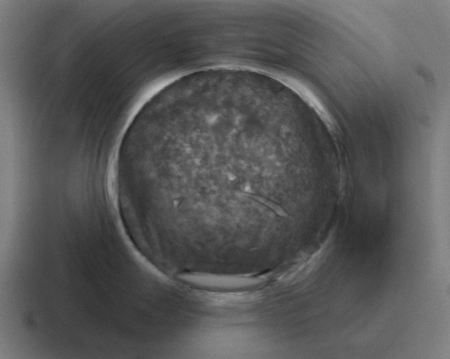 X0000116791247200912311911