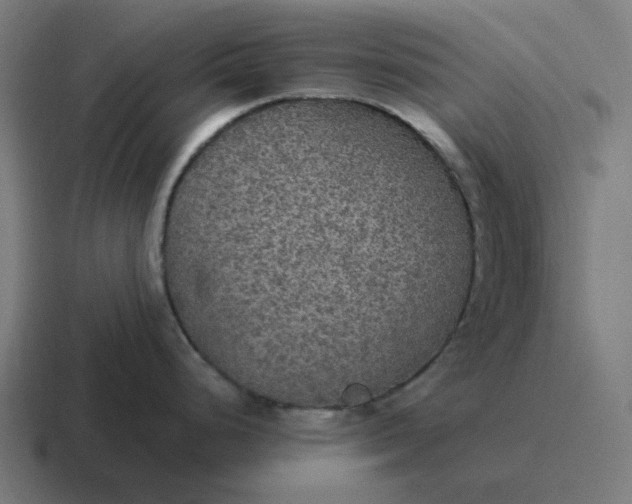 X0000116791248200912311911