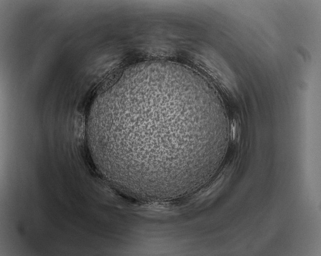 X0000116791251200912311910