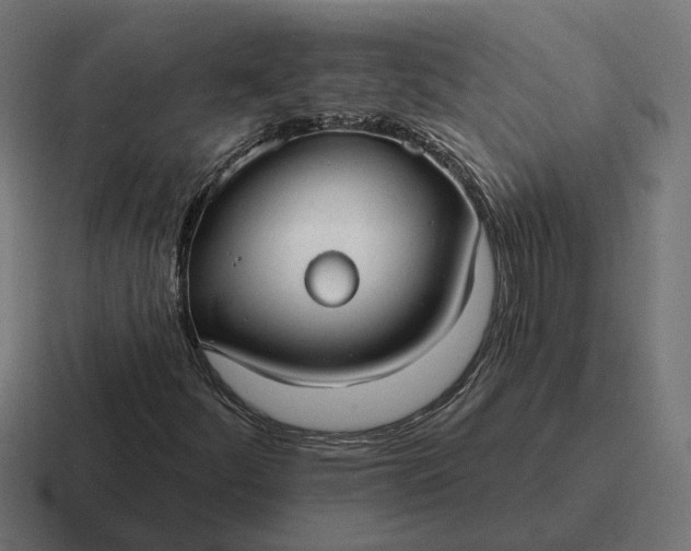 X0000116791252200912311910