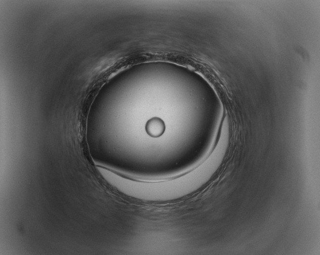 X0000116791253200912311910