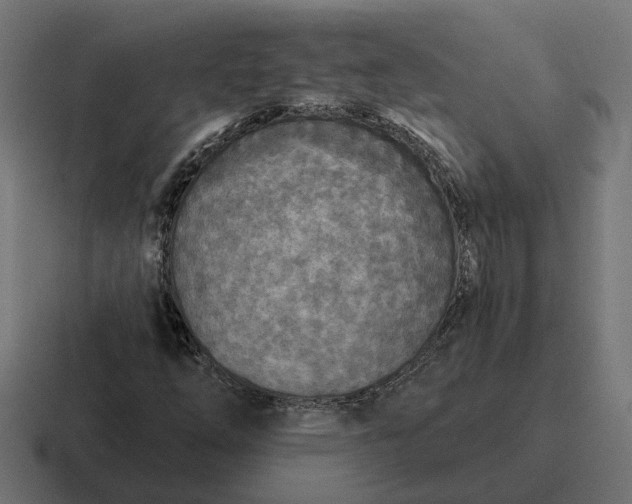 X0000116791254200912311910