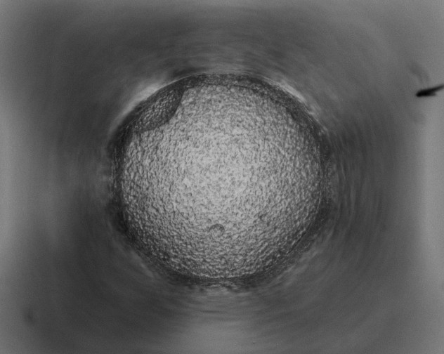 X0000116791255200912311910