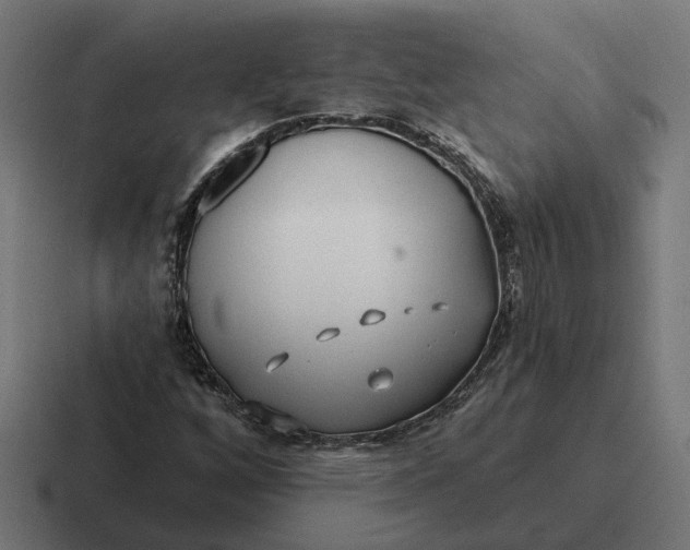 X0000116791256200912311910