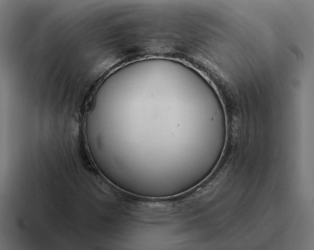 X0000116791257200912311910