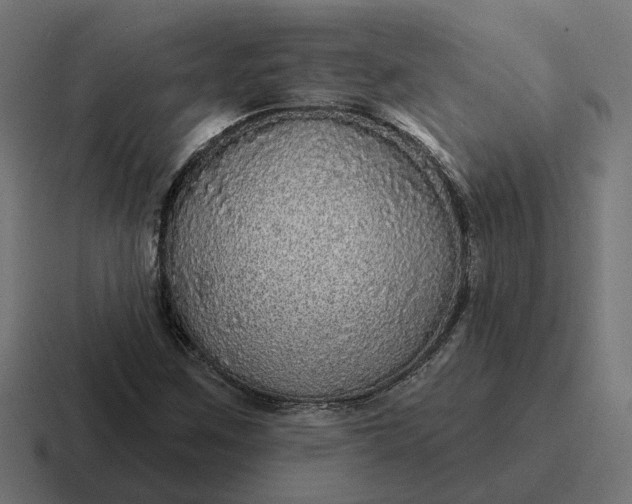 X0000116791259200912311910