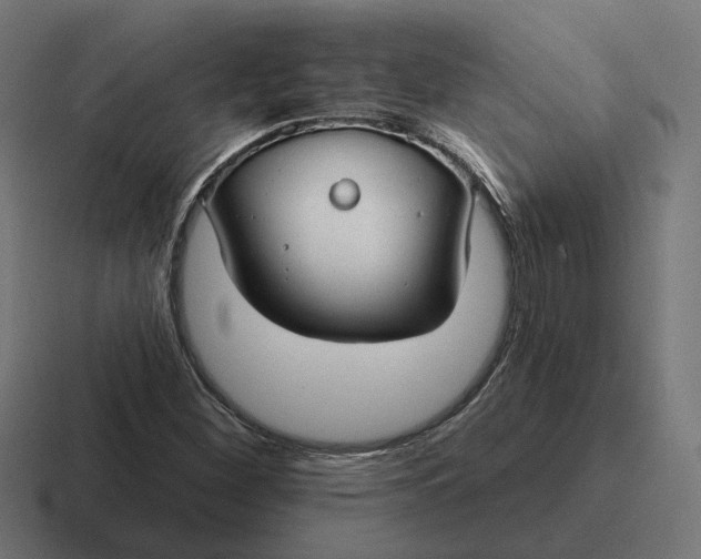 X0000116791260200912311910