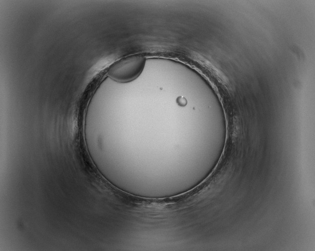 X0000116791261200912311910