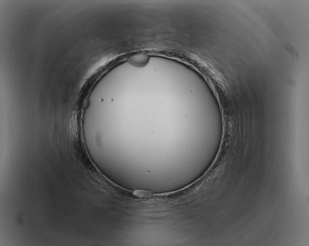 X0000116791262200912311910