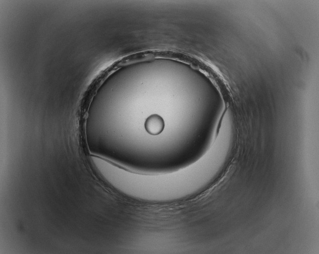 X0000116791263200912311910